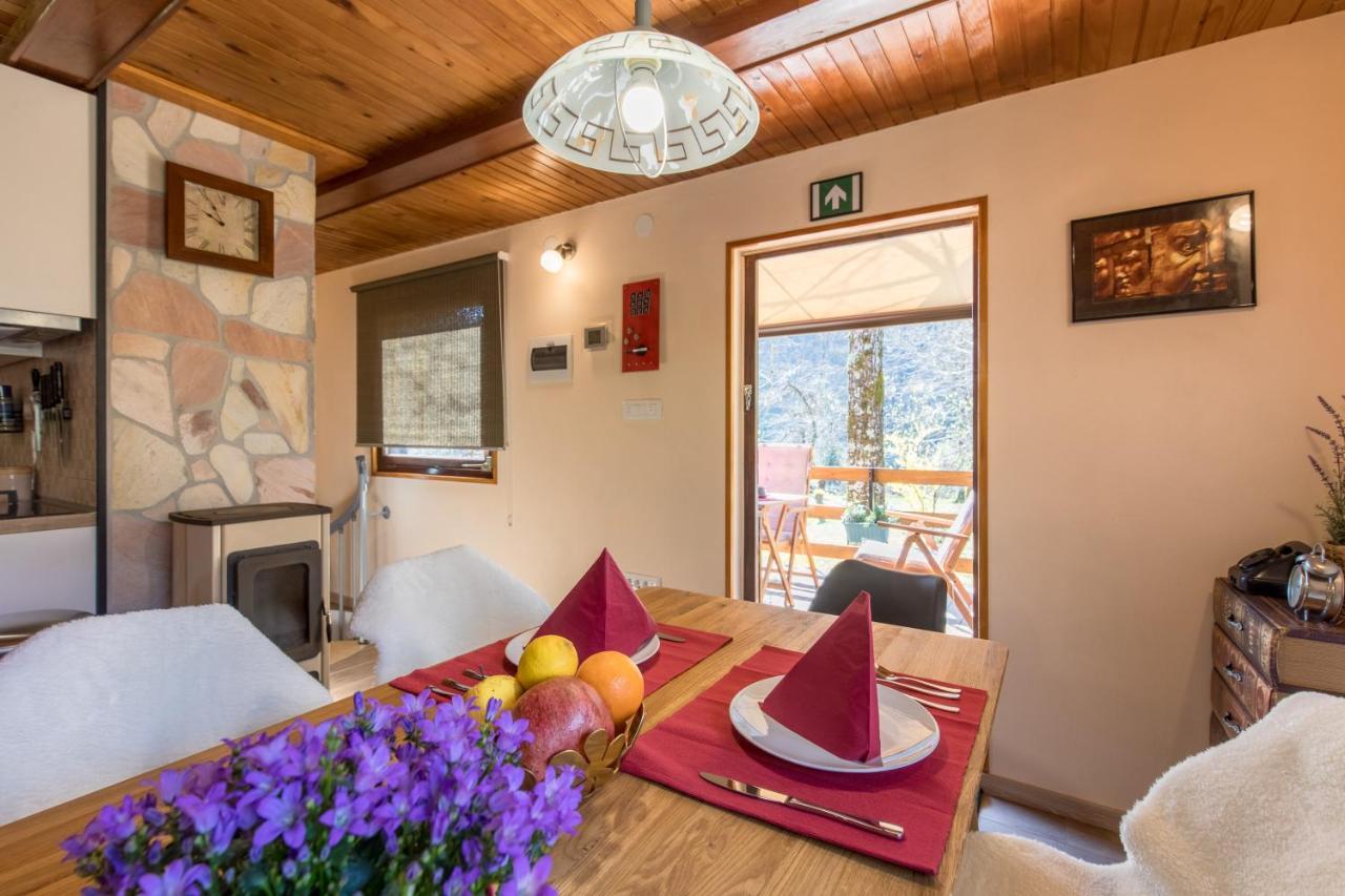 Vila Rozi, Osilnica - Vacation House Pr' Vili Rozi Екстериор снимка