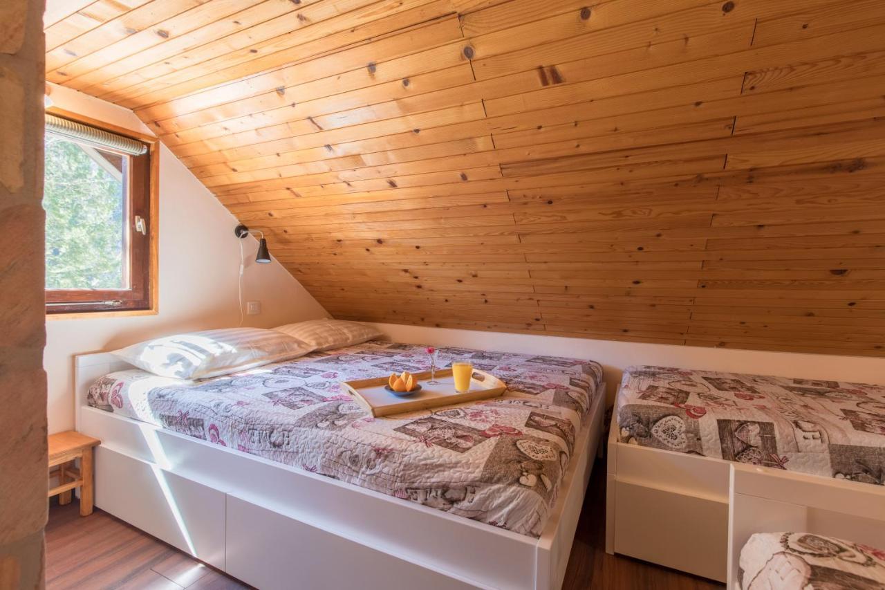 Vila Rozi, Osilnica - Vacation House Pr' Vili Rozi Екстериор снимка