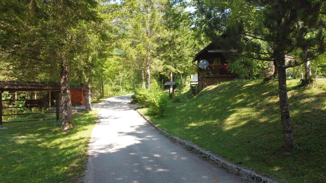 Vila Rozi, Osilnica - Vacation House Pr' Vili Rozi Екстериор снимка