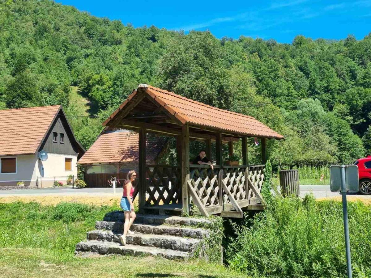 Vila Rozi, Osilnica - Vacation House Pr' Vili Rozi Екстериор снимка
