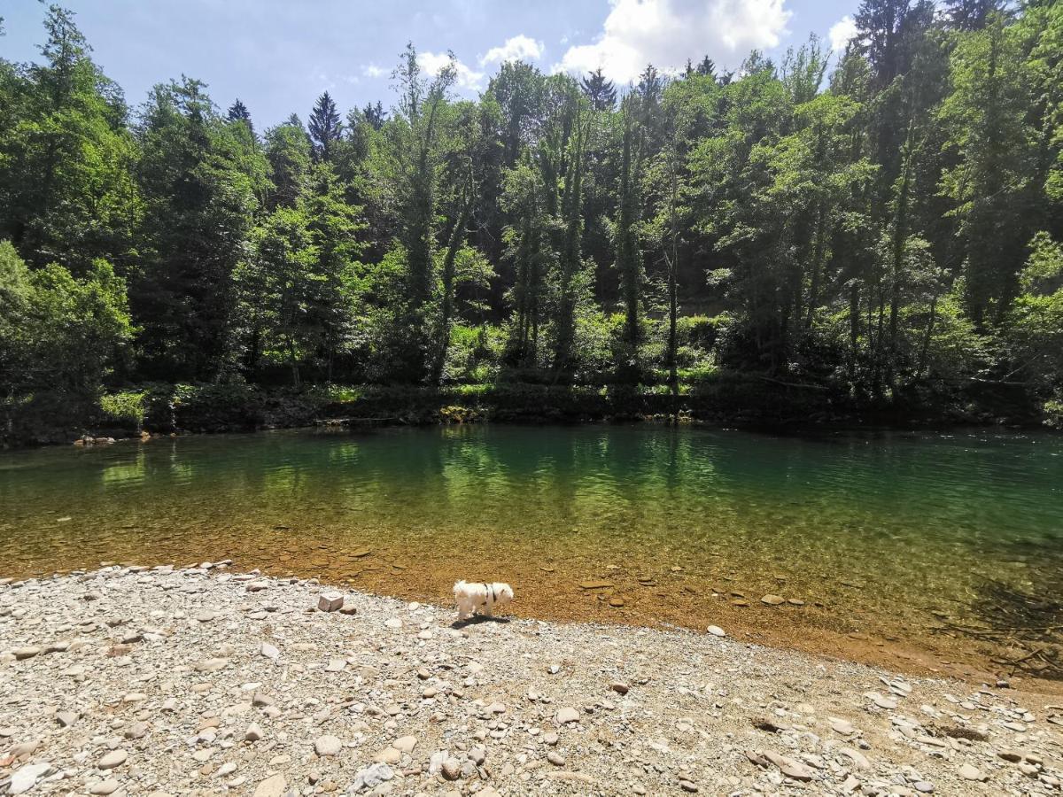 Vila Rozi, Osilnica - Vacation House Pr' Vili Rozi Екстериор снимка